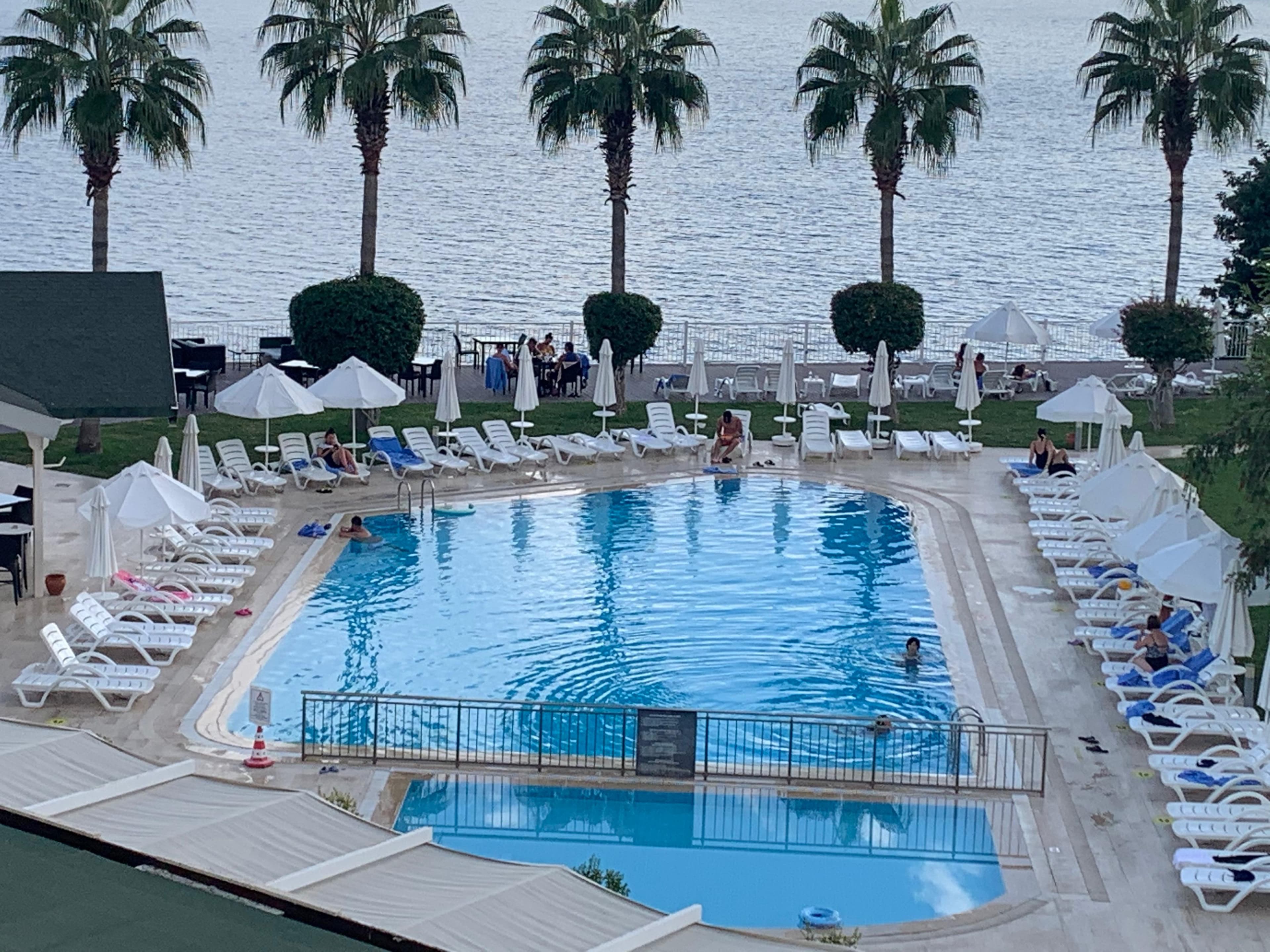 Beach resort pool with ocean views